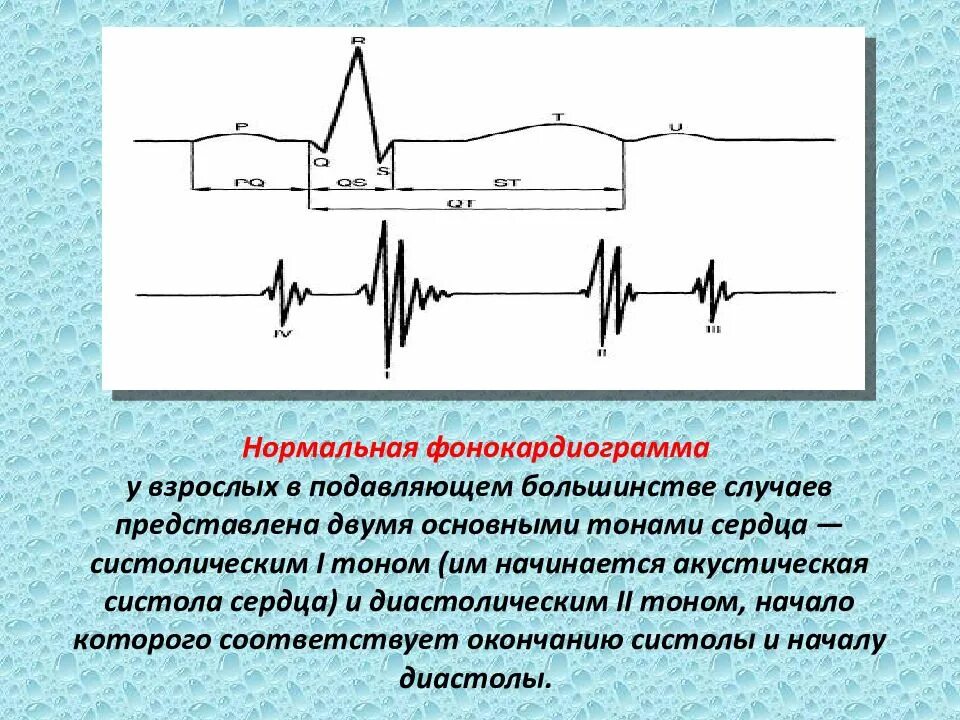 Графическое изображение фкг. Графическое изображение фкг