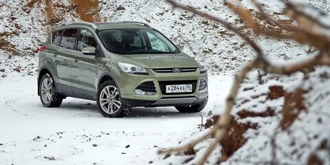 Kuga m