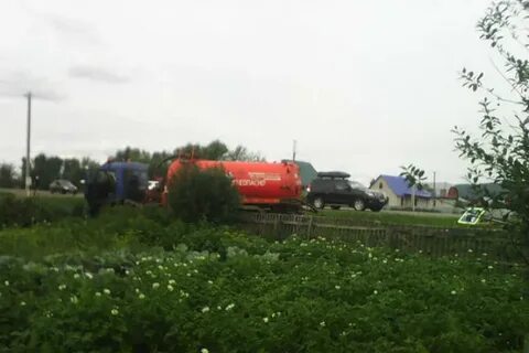 Погода зирган на 14 дней