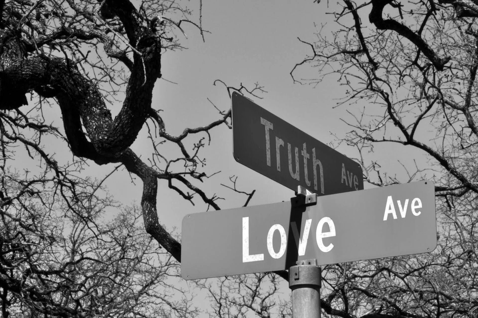 Truth красивая картинка. The Truth Love. The true Truth. The Truth and God are with us картинки.