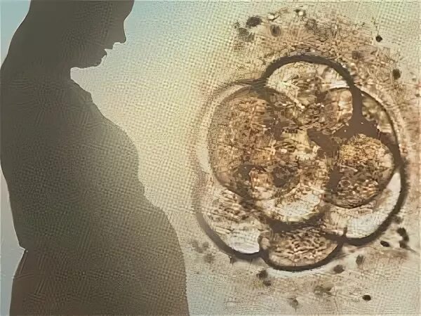 Я переродился чтобы оплодотворить всех