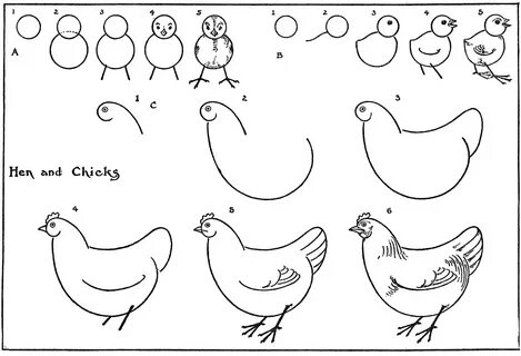 Hen drawing Step by Step: Yandex Görsel'de 1 bin görsel bulundu