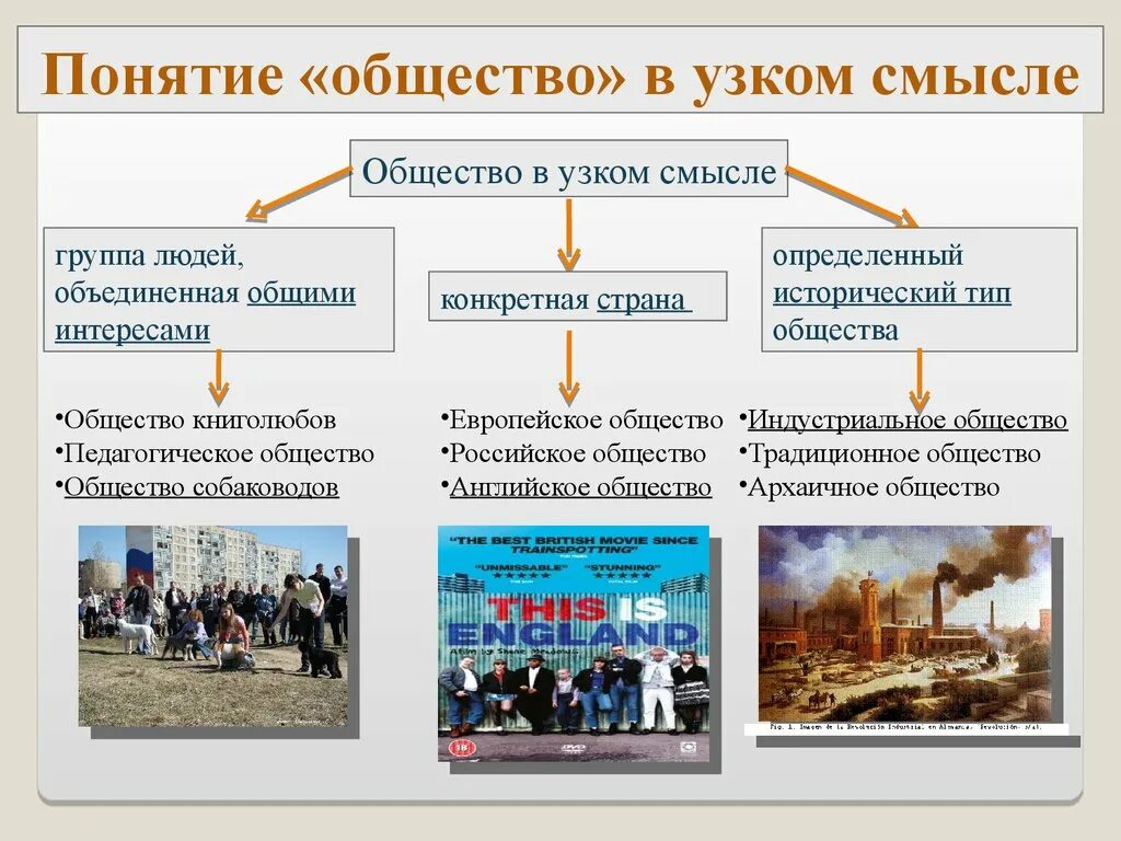 Общество в узком смысле примеры. Узкое и широкое понятие общества. Термин общество в узком смысле. Общество в устном смысле. Понятие общество в широком и узком смысле.