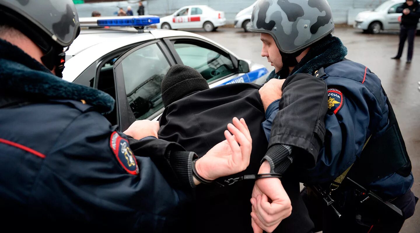 Борьба органов внутренних дел с преступностью