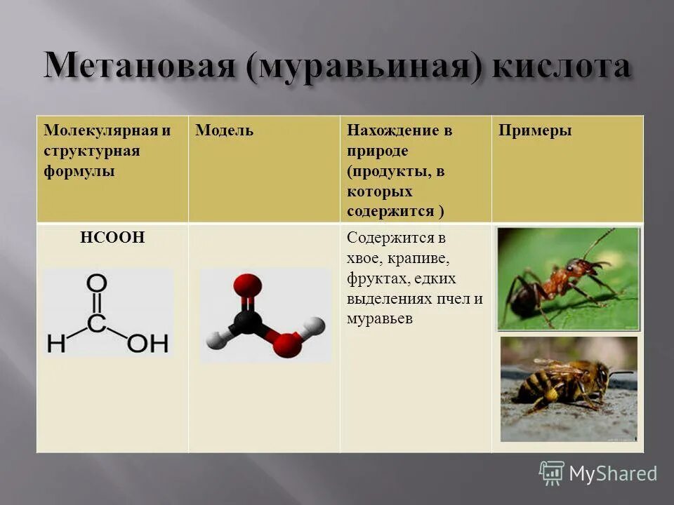 Свойства метановой кислоты