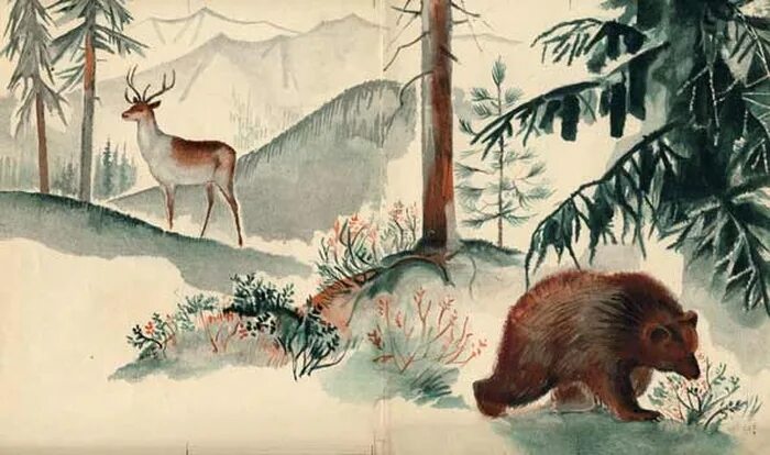 Рисунок как я представляю себе тайгу. Тайга рисунок. тайга для детей. тайга детские рисунки. нарисовать тайгу.