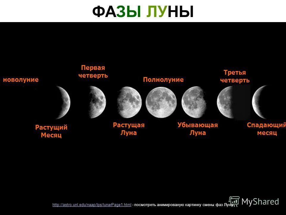 В конце месяца 16 будет. Фазы Луны новолуние растущая Луна полнолуние убывающая Луна. Первая и вторая четверть Луны. Схема смены фаз Луны. Ф̆̈ӑ̈з̆̈ы̆̈ Л̆̈ў̈н̆̈ы̆̈.