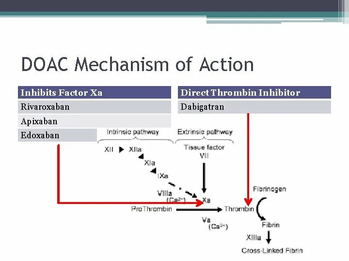 Mechanism of action. Ксарелто механизм действия. Ривароксабан механизм действия. Апиксабан схема действия. Метаболизм ривароксабан.