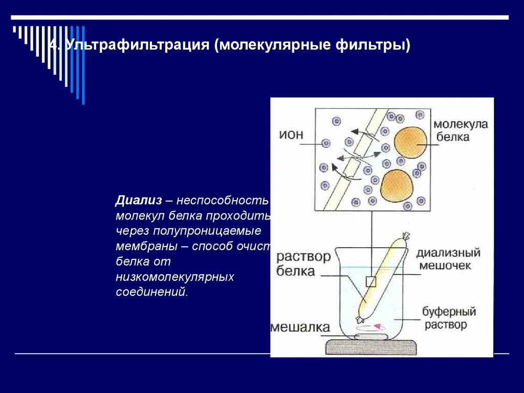 Методы очистки белка. Ультрафильтрация белков биохимия. Диализ принцип метода. Диализ метод очистки белков. Диализ и ультрафильтрация белков.