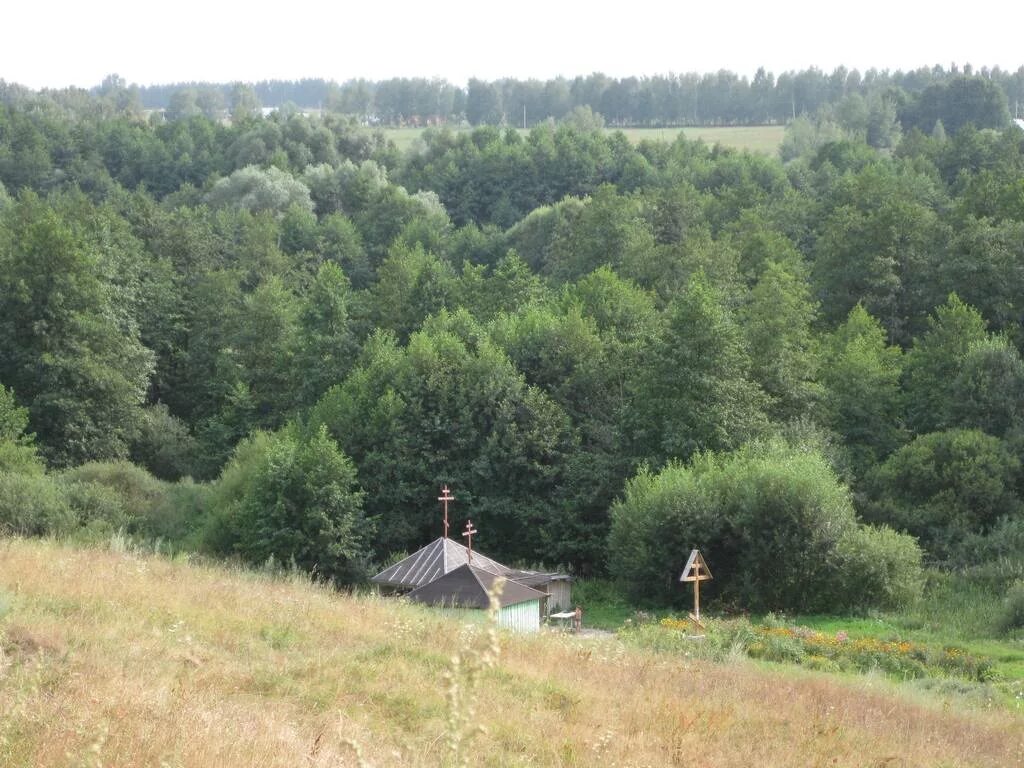 Деревня Колодное Выгоничского района. Лопушь Выгоничский район. Колодное Брянская область Выгоничский район. Выгоничский район Брянской области деревня Лопушь. Погода выгоничи на 14 дней