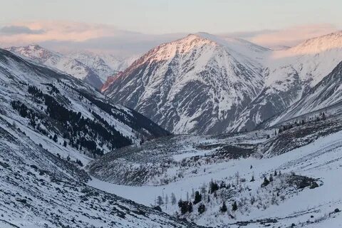 Центрально алтайский