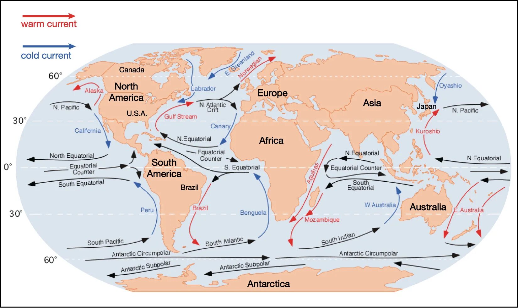 What is the world ocean