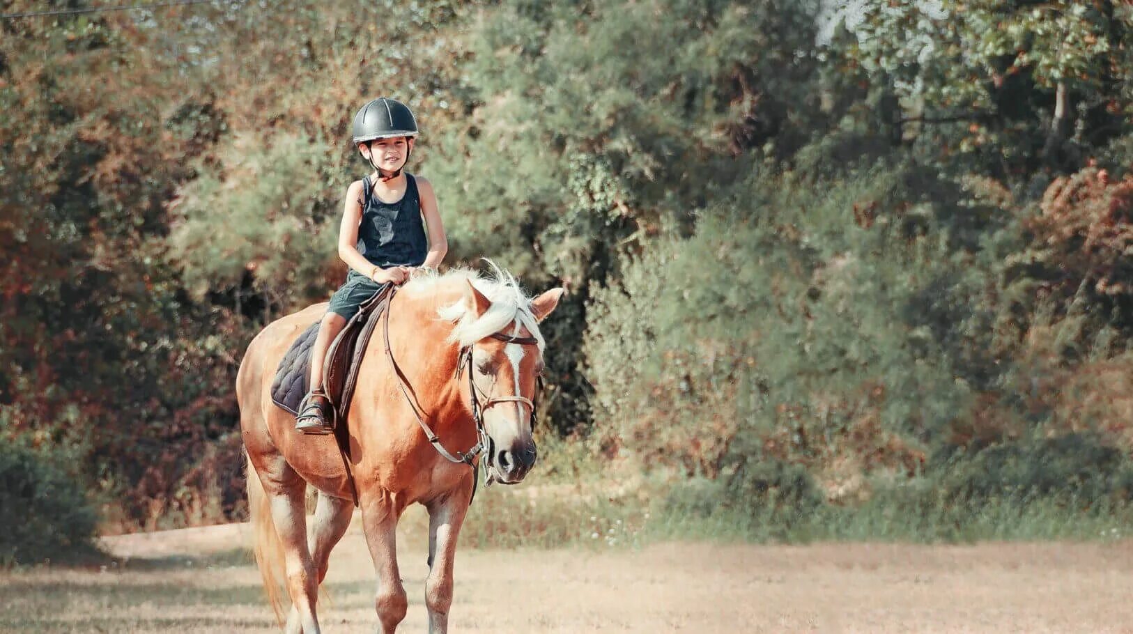 Мы вновь ехали на лошадях. Мальчик на лошади. Едет на коне. Ехать на лошади. Мальчик на коне.