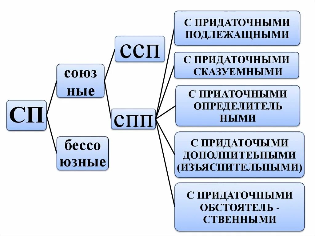 Группы сложно сочинительных предложений. Кластер СПП. Кластер по теме Сложноподчиненные предложения. Схема ССП. Кластер на тему сложноподчиненное предложение.