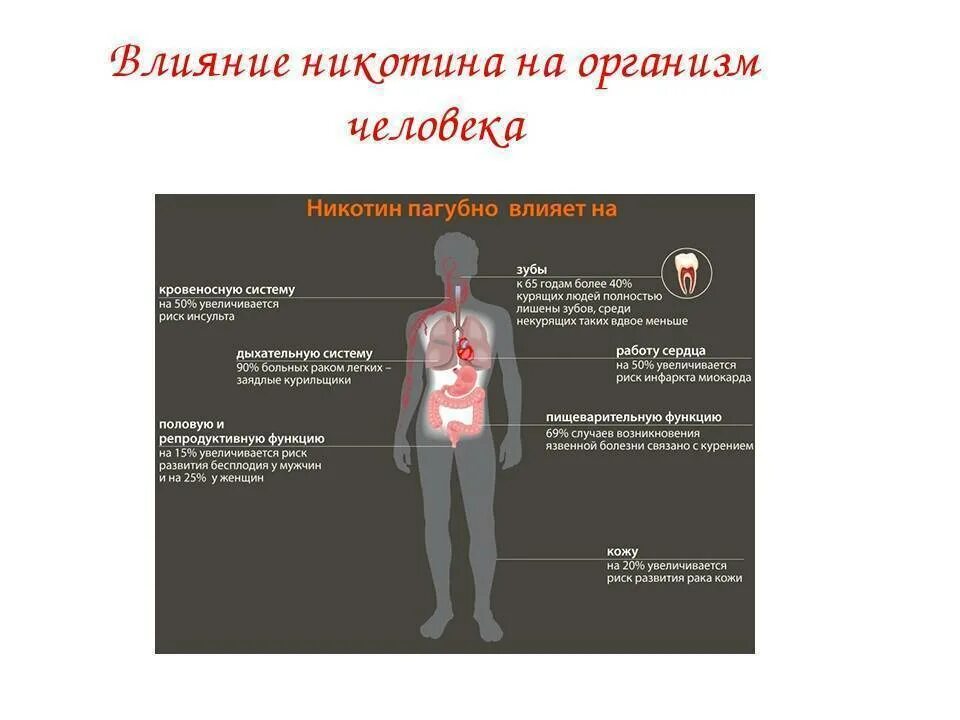 Действие никотина на организм человека. Влияние никотина на организм человека. Влияние курения на организм человека. Последствия никотина. Как сигареты влияют на организм.