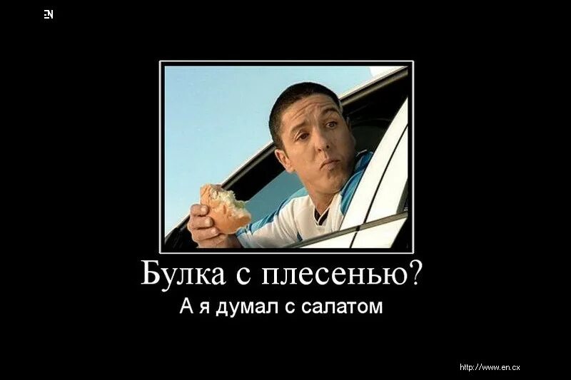 Не ездите с тысячей откликов
