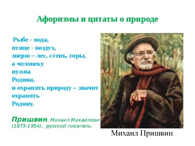 Природа высказывания великих. Высказывания авторов о природе. Цитаты писателей о природе. Фразы писателей про природу. Цитаты великих людей о природе.