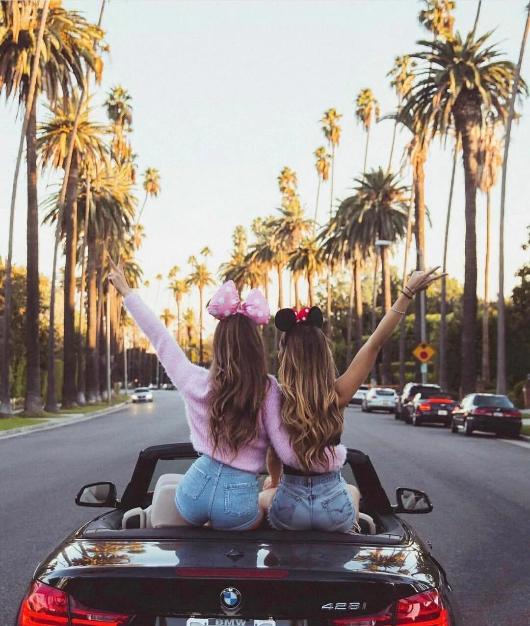 Две самые лучшие подруги