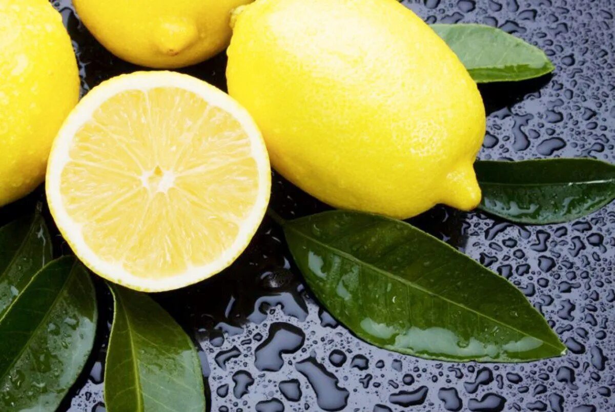 Лимон. Лимон картинка. Плод лимона. Лимон в разрезе.