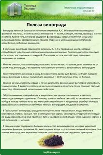 Самый полезный виноград