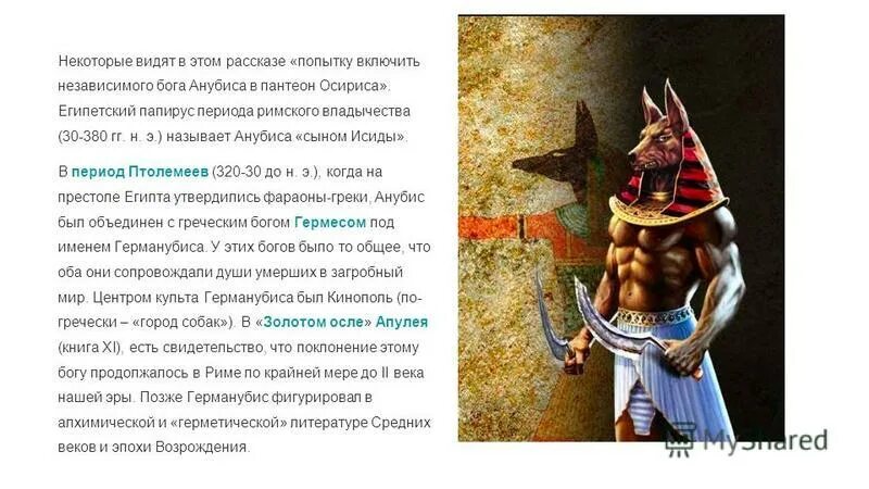 В виде какого животного изображался бог анубис. В виде какого животного изображался бог анубис