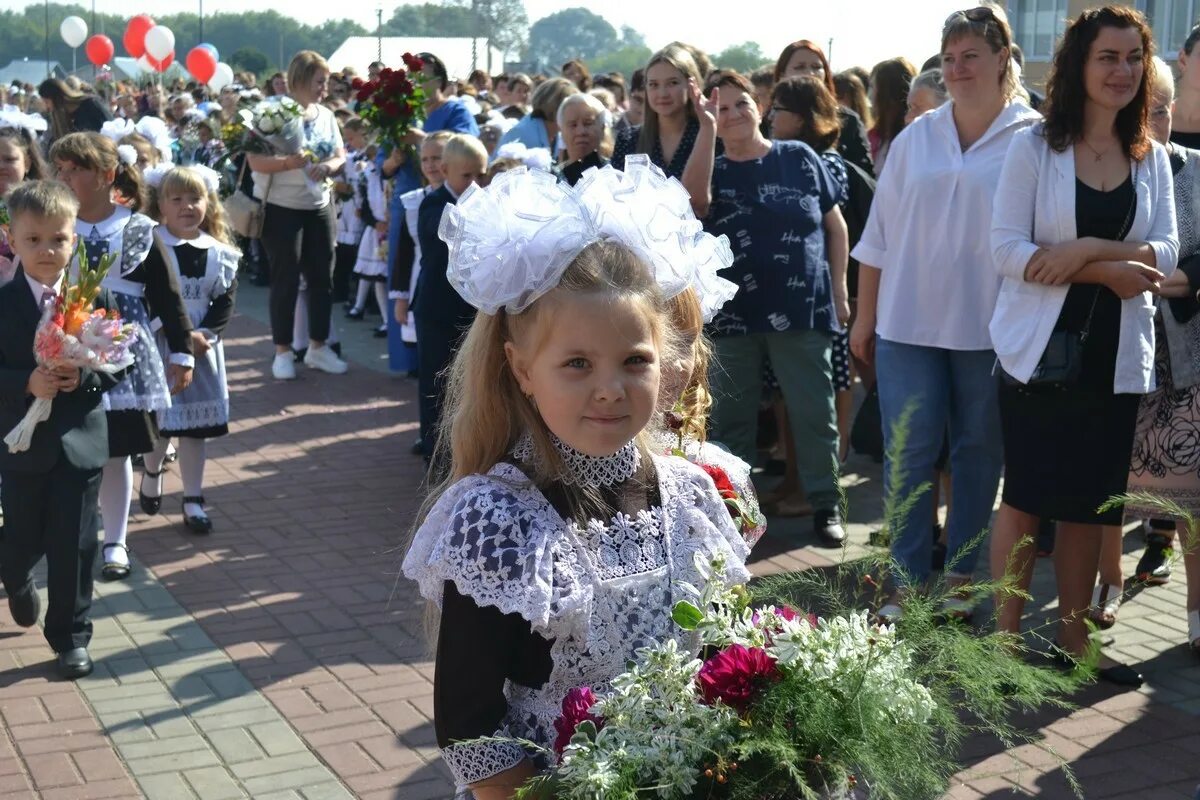 Кадомская школа ученики. МОУ Кадомская СОШ 1 сентября 2014. Кадомская школа праздники. Кадом день знаний. Кадомская сош электронные дневники