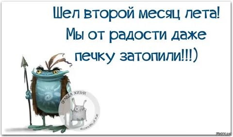 Когда лето было холодным