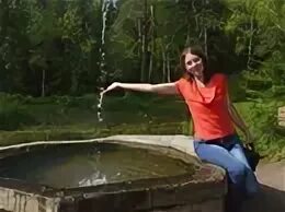 Мишкин тула