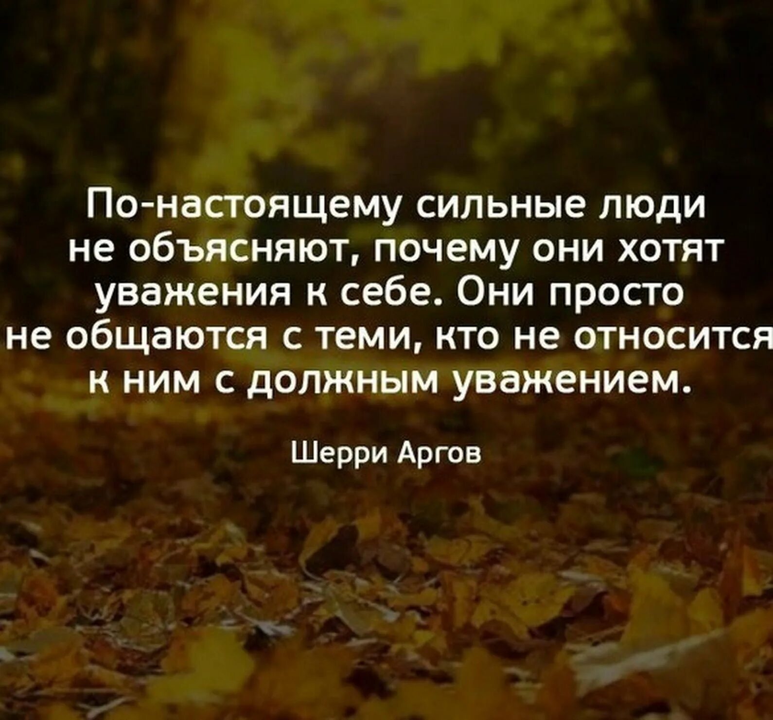 Как выразить уважение словами. Высказывания про уважение. Высказывания об уважении к людям. Уважение цитаты. Афоризмы про уважение.