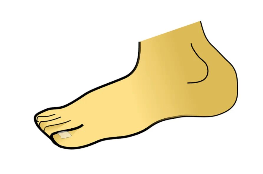 Foot parts. Ступня мультяшная. Нога мультяшная. Стопы ног. Нога картинка.