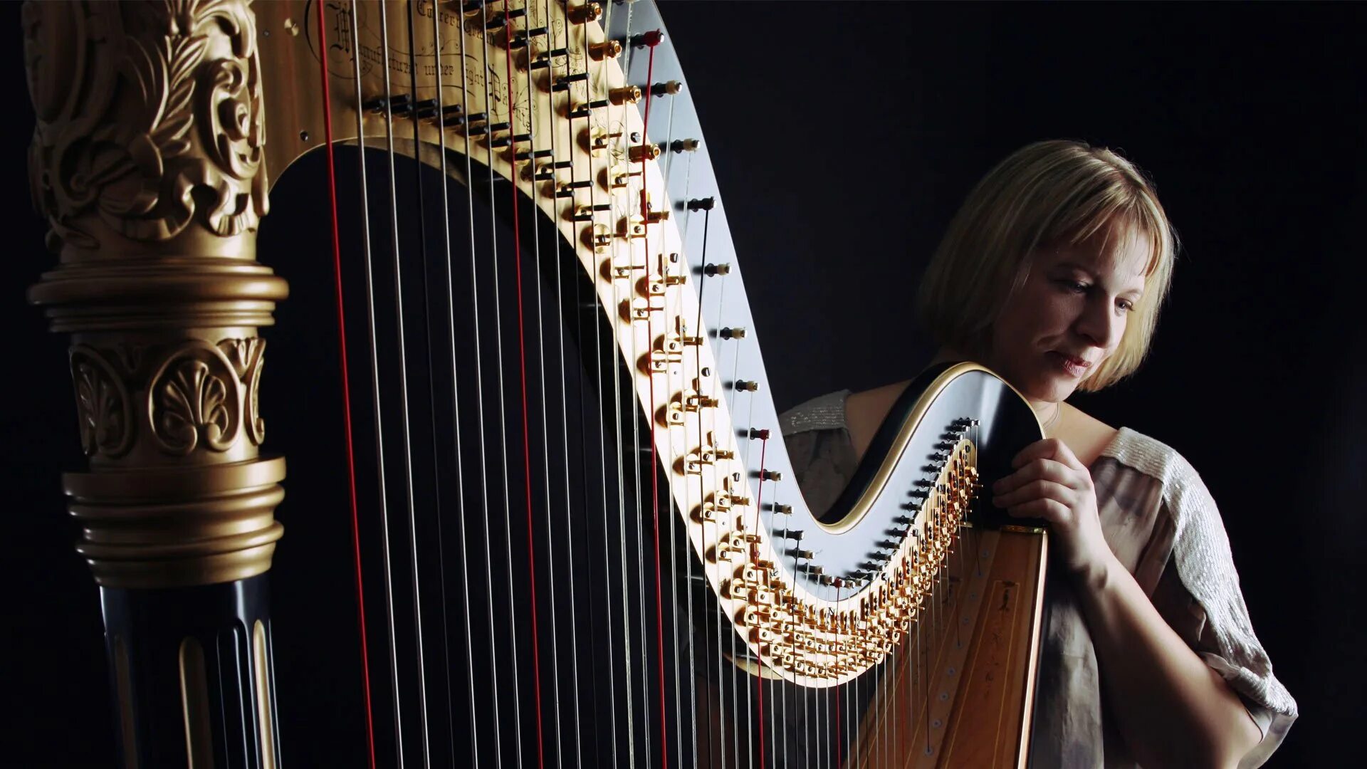 Sound of music instruments. Sound of music instruments
