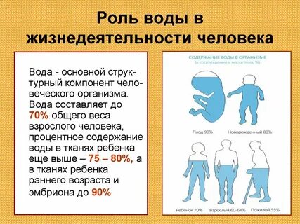 Каково значение поведения в жизни организмов кратко