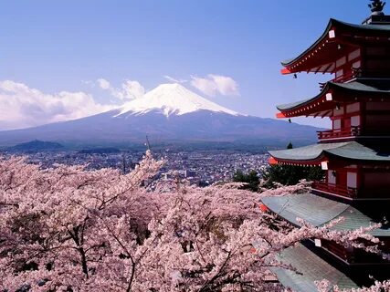 Wallpaper collection - 2011 Cherry Blossoms And Mount Fuji Japan.