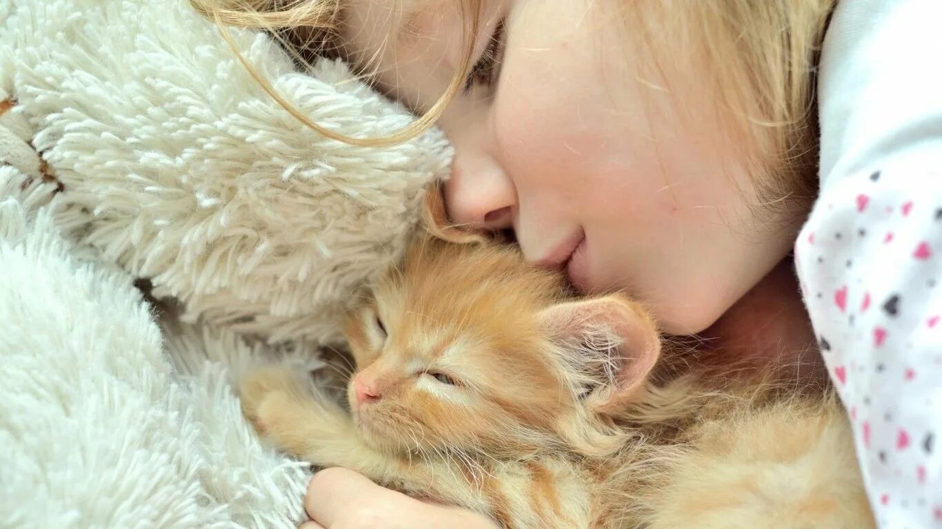 Caring cat