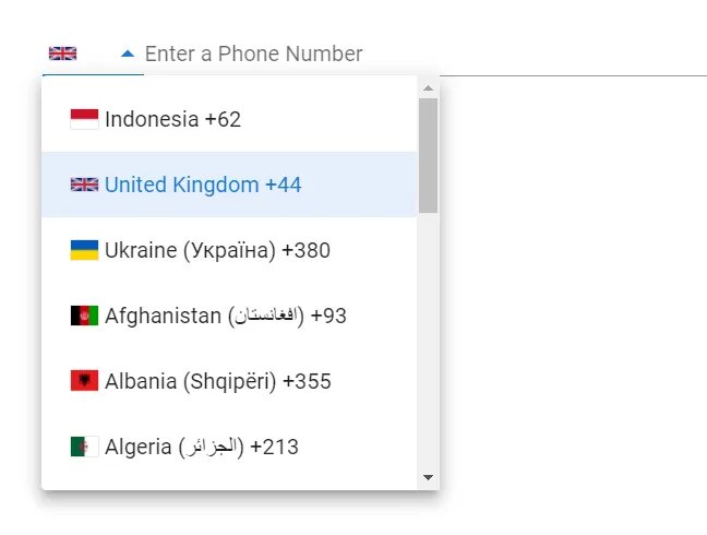 Vuetify input. Инпут в js это. input tel. phone input. инпут телефона с флагом.