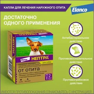 Нептра капли ушные