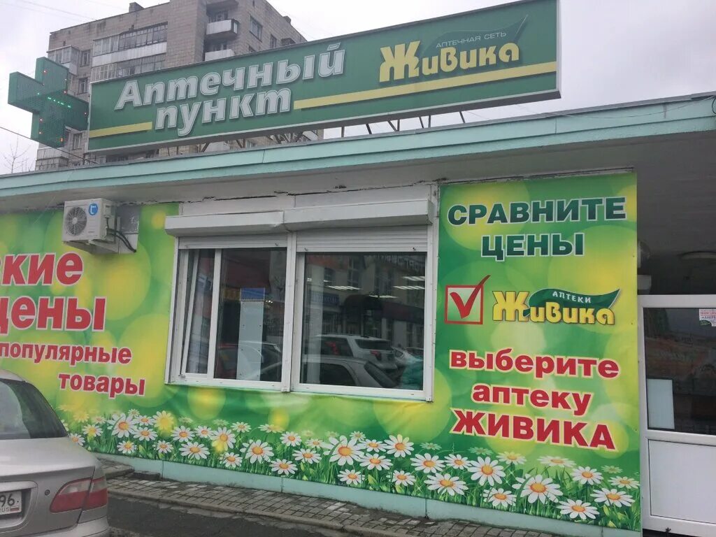 Живика добрянка