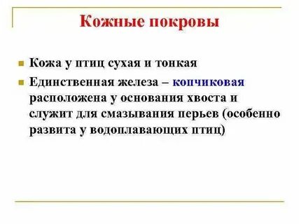 Особенности строения покровов у птиц