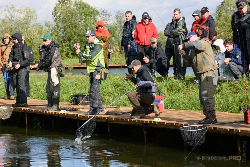 ропшинское шоссе рыбные пруды. озеро черепово подольский район. рыбные пруды сайт. самарафишинг вести с водоемов 2018. рыбные пруды ропша территория.