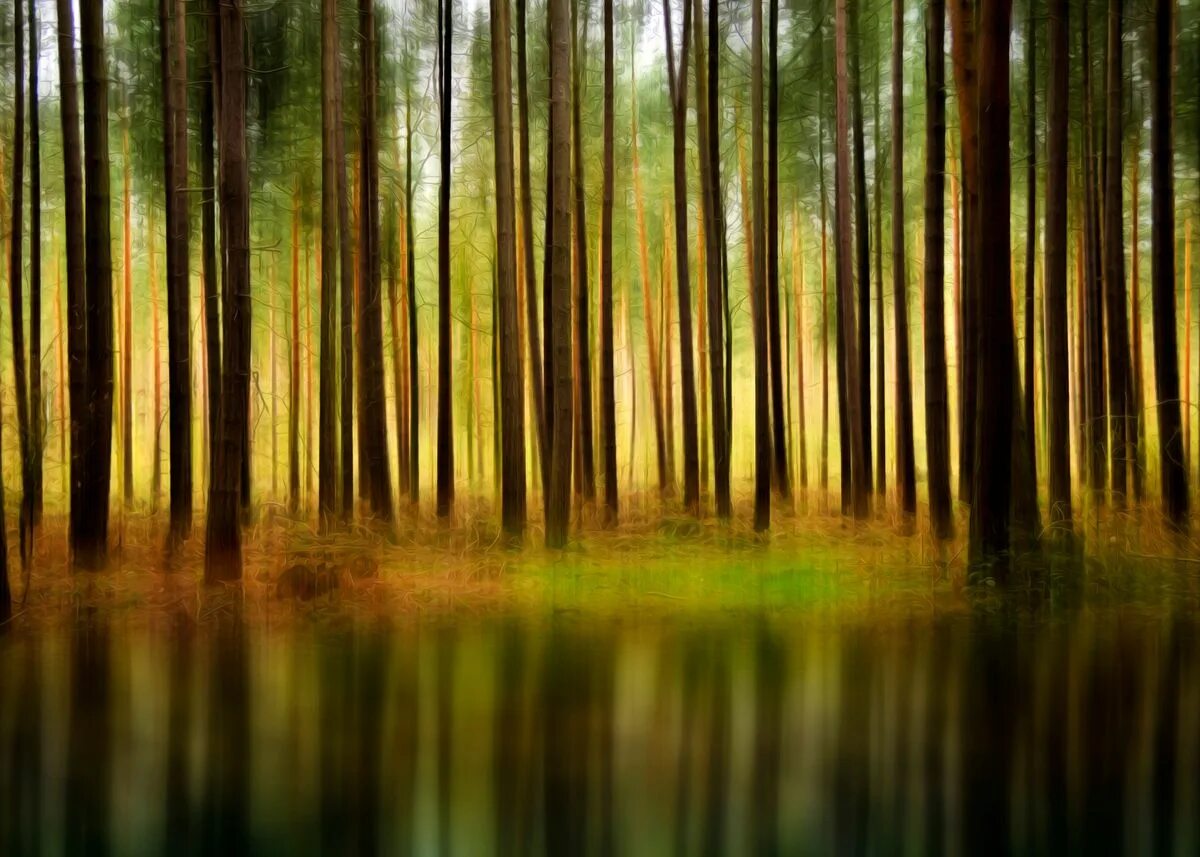 Темный лес абстракция. Лесная абстракция. Абстракция природа. Абстракция природа. Лесная абстракция.