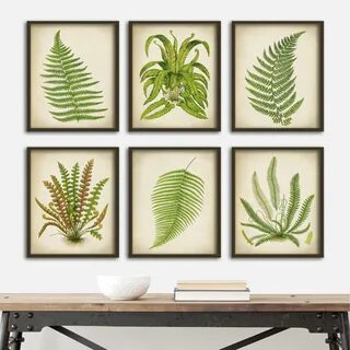 Sets print