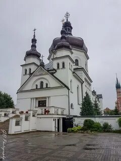 Малая воля