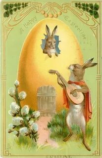 Rocky rabbit ester eggs