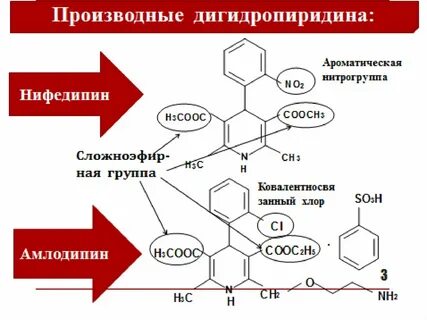 Дигидропиридины