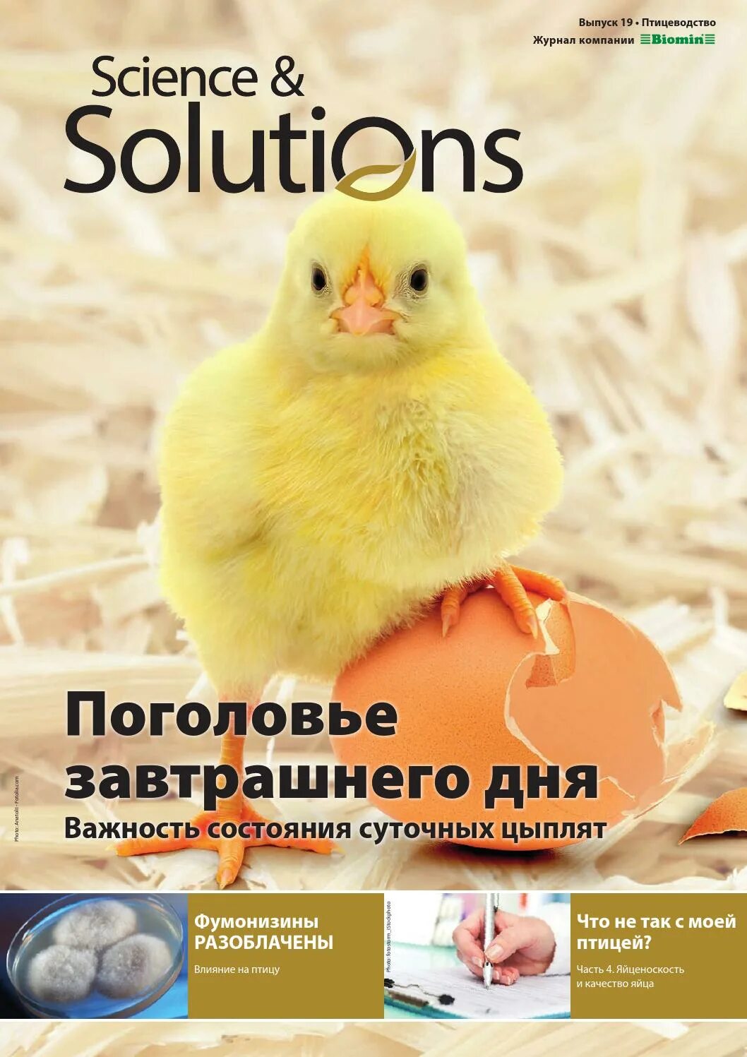 Журнал птицеводство. Птица и птицепродукты журнал официальный сайт. Для цыплят силен. Журналы по птицеводству. Журнал птицевод читать.