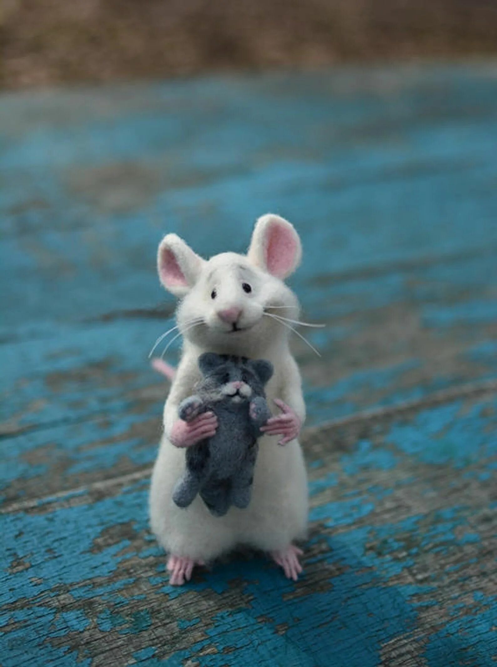 открытка «мышка». смешная мышь. красивая мышка. крыски эллен ван дилен. довольная мышь.