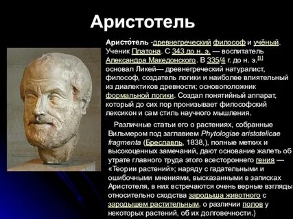 Философ ученик аристотеля