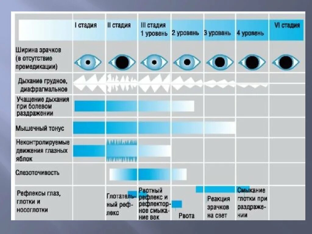 Зрачки после наркоза. Таблица стадий наркоза. схема наркоза таблица. стадии эфирного наркоза таблица. хирургическая стадия наркоза.