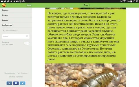 Вопрос ответ рак