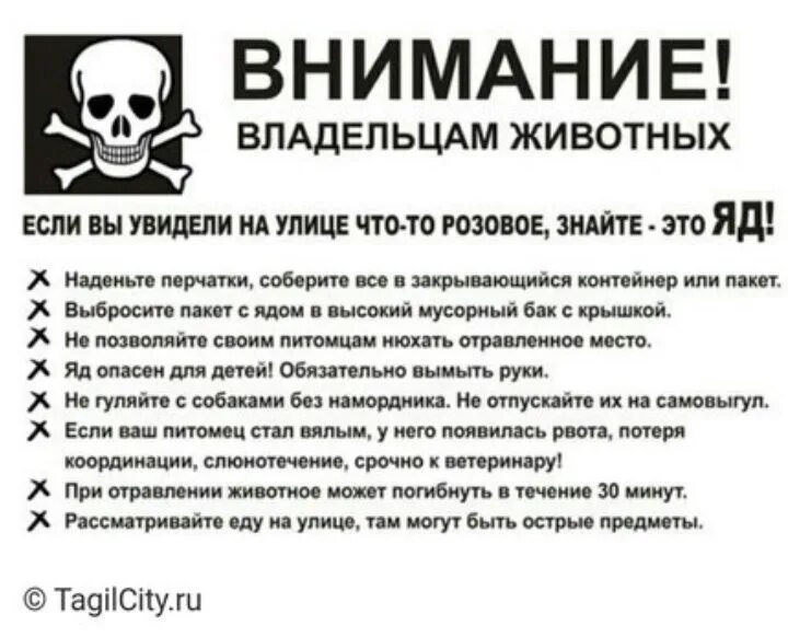 Внимание владельцам собак догхантеры.